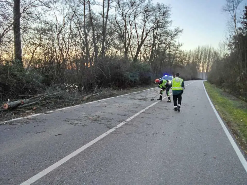 Da&ntilde;os de la borrasca en Zamora_12