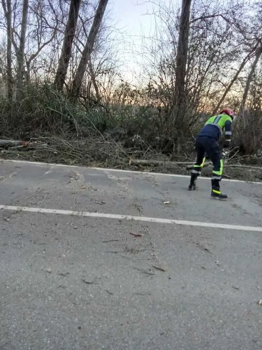 Da&ntilde;os de la borrasca en Zamora_14