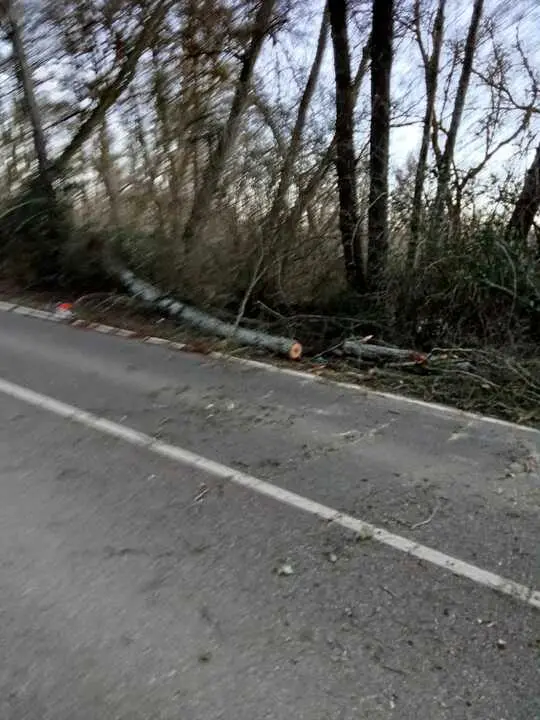 Da&ntilde;os de la borrasca en Zamora_15