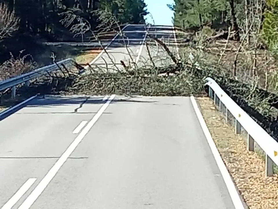 Da&ntilde;os de la borrasca en Zamora_17