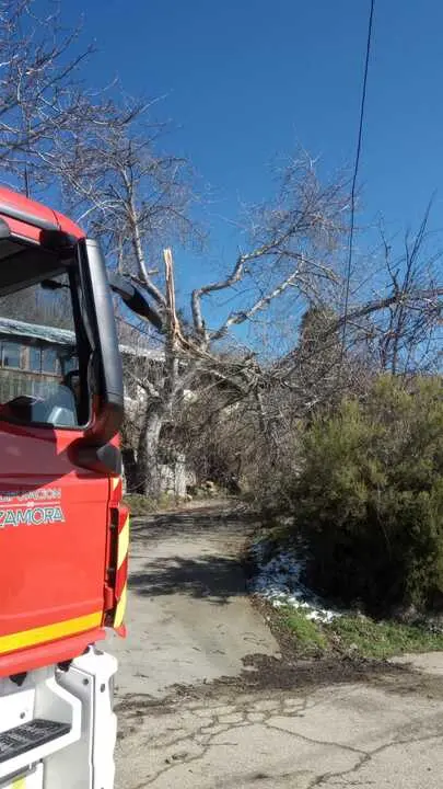 Da&ntilde;os de la borrasca en Zamora_18