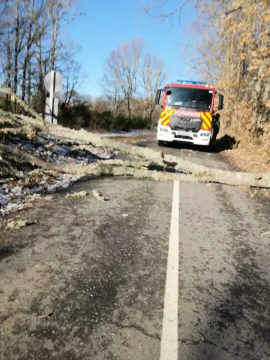 Da&ntilde;os de la borrasca en Zamora_21