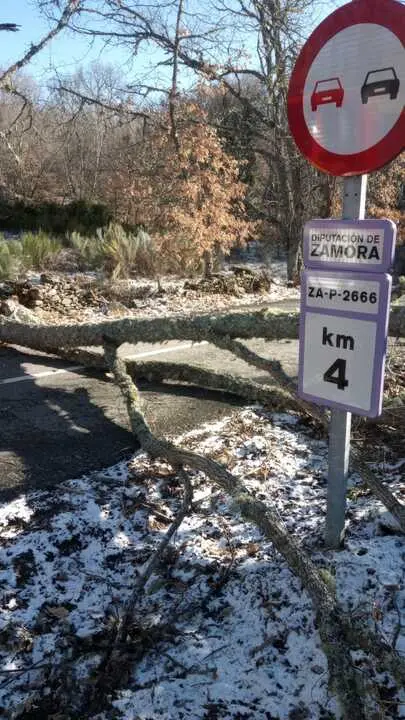 Da&ntilde;os de la borrasca en Zamora_22