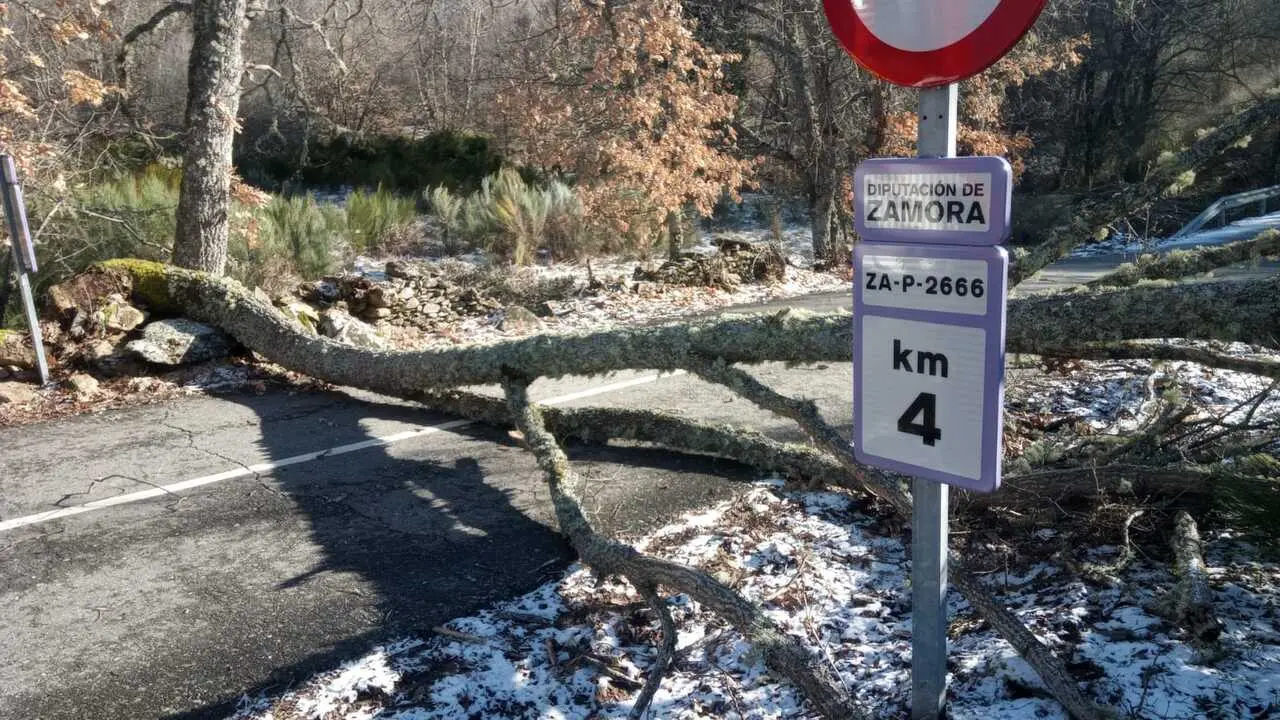 Da&ntilde;os de la borrasca en Zamora_23