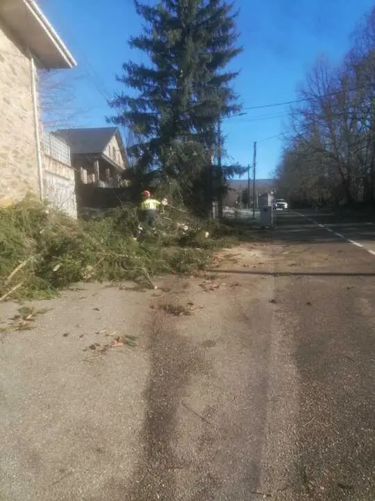 Da&ntilde;os de la borrasca en Zamora_25