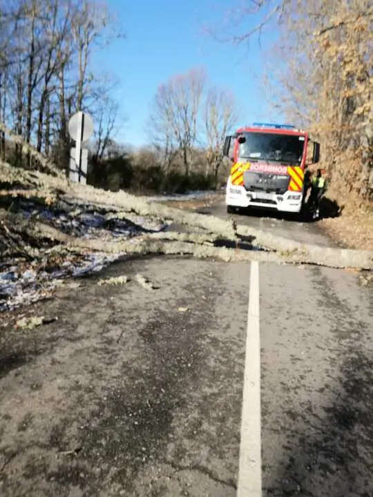 Da&ntilde;os de la borrasca en Zamora_26