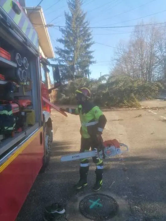 Da&ntilde;os de la borrasca en Zamora_27