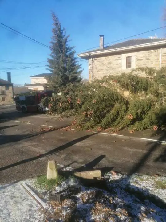 Da&ntilde;os de la borrasca en Zamora_28