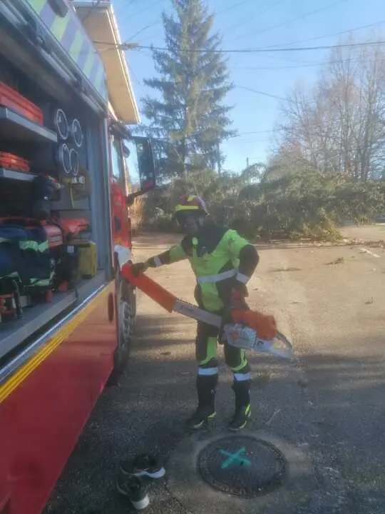 Da&ntilde;os de la borrasca en Zamora_29