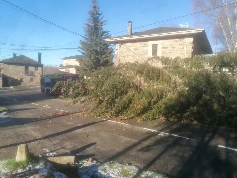 Da&ntilde;os de la borrasca en Zamora_30