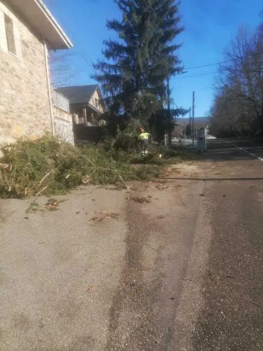 Da&ntilde;os de la borrasca en Zamora_31