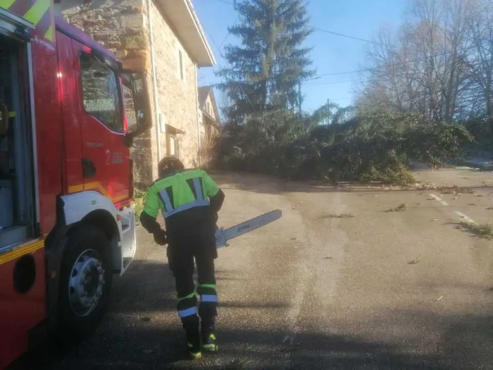 Da&ntilde;os de la borrasca en Zamora_32