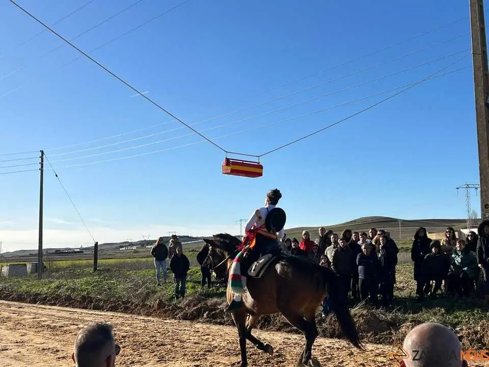 Quintos Coreses 2026 