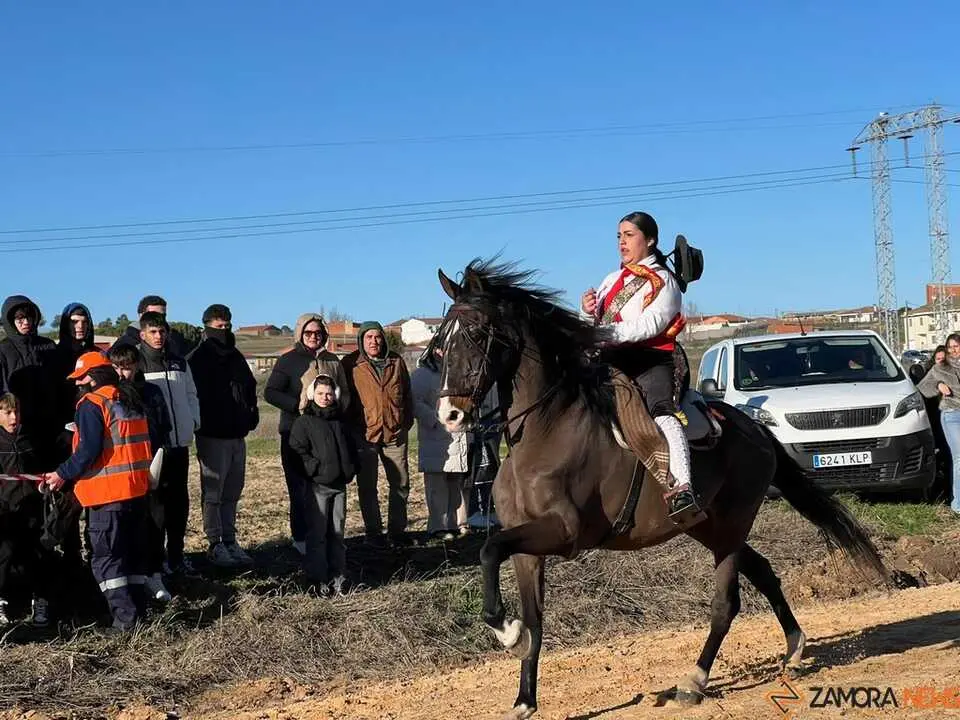 Quintos Coreses 2026 _4