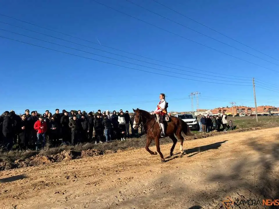 Quintos Coreses 2026 _5