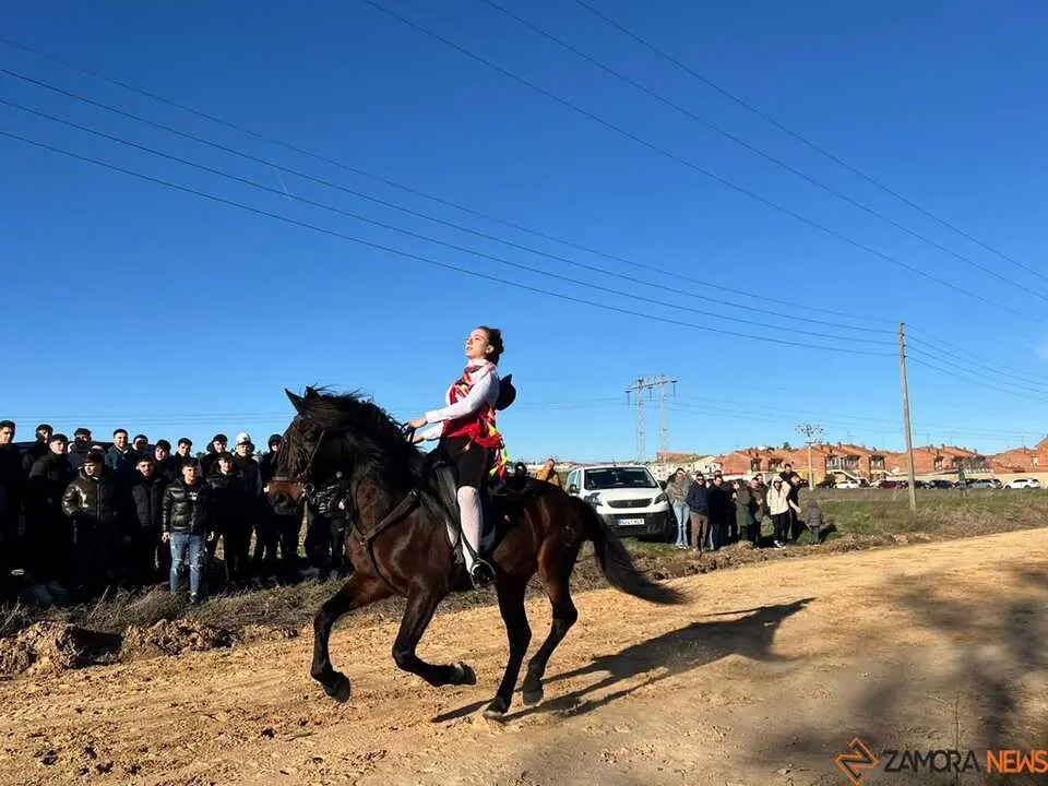 Quintos Coreses 2026 _6