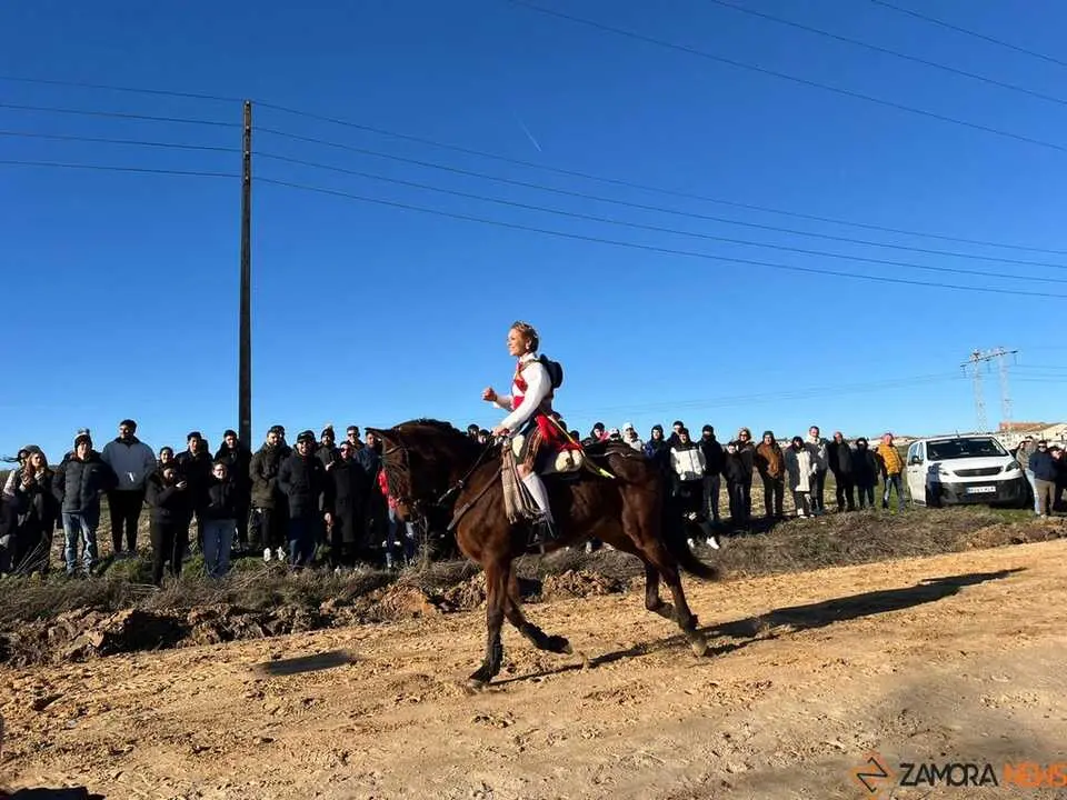 Quintos Coreses 2026 _9