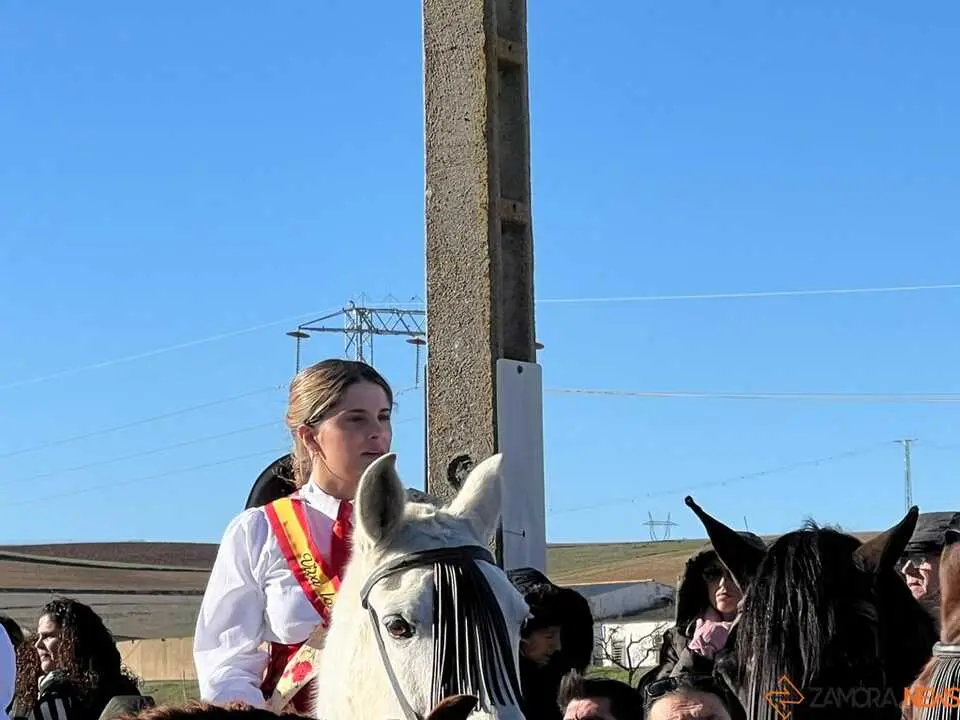 Quintos Coreses 2026 _22