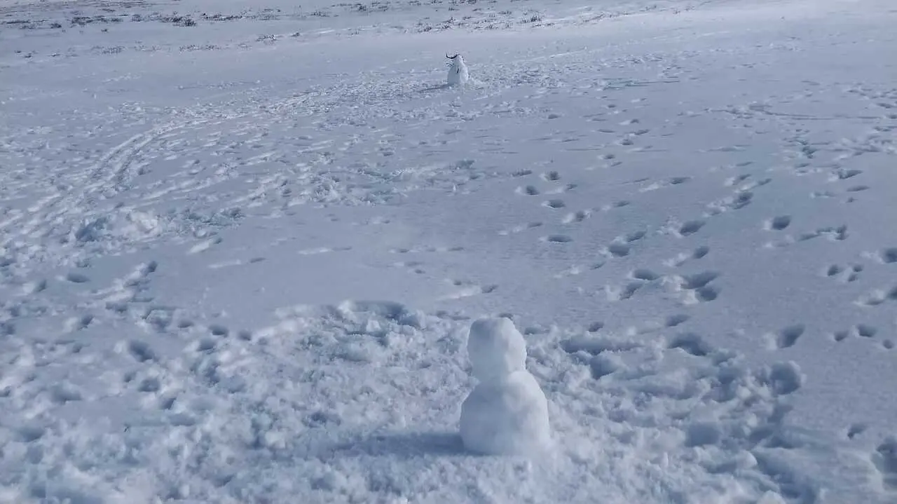 Nieve en Sanabria _15