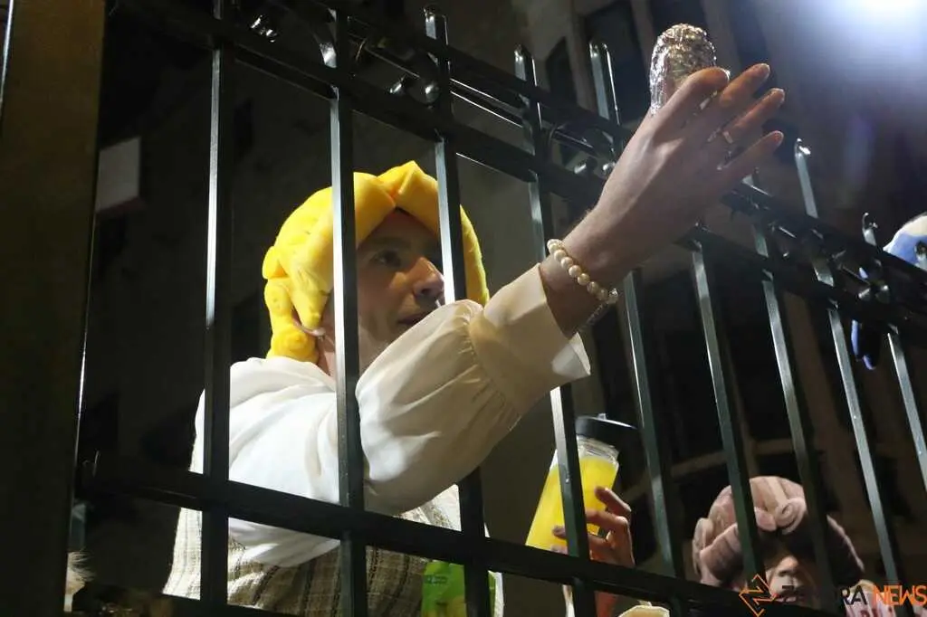 Desfile de Carnaval Zamora _6