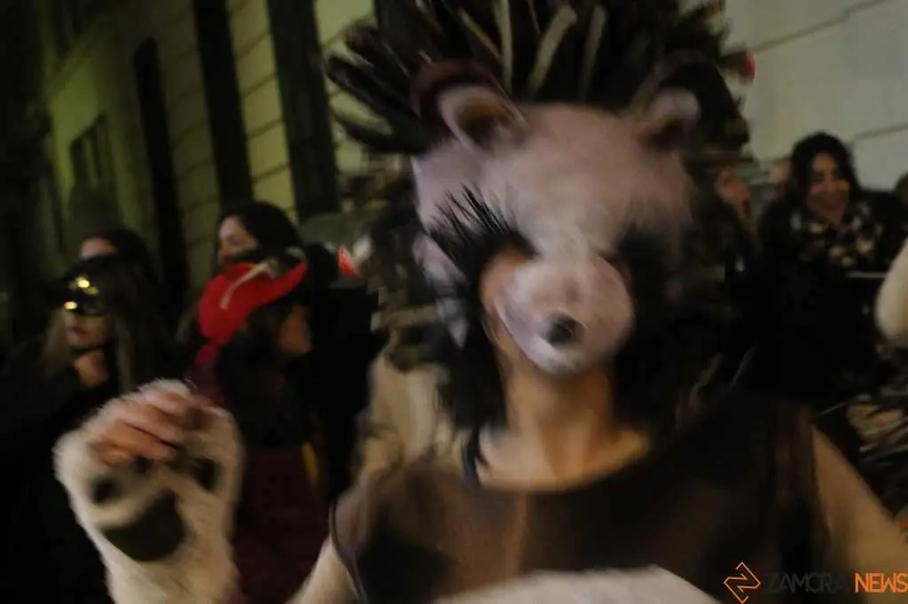 Desfile de Carnaval Zamora _9