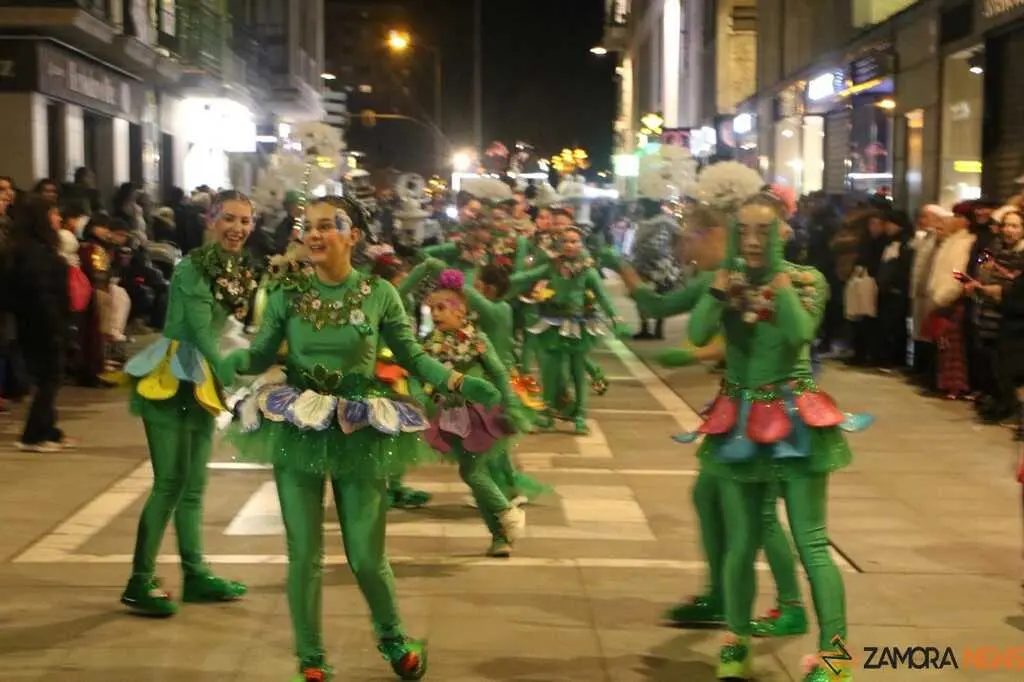 Desfile de Carnaval Zamora _16