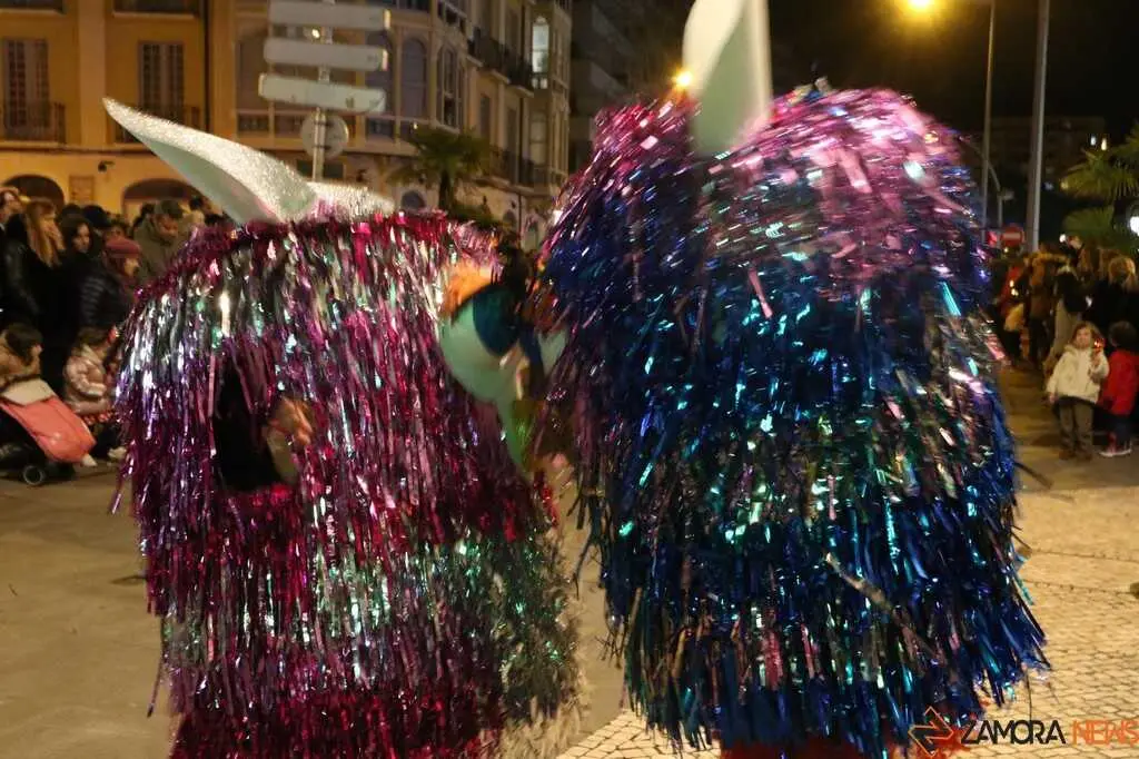 Desfile de Carnaval Zamora _24