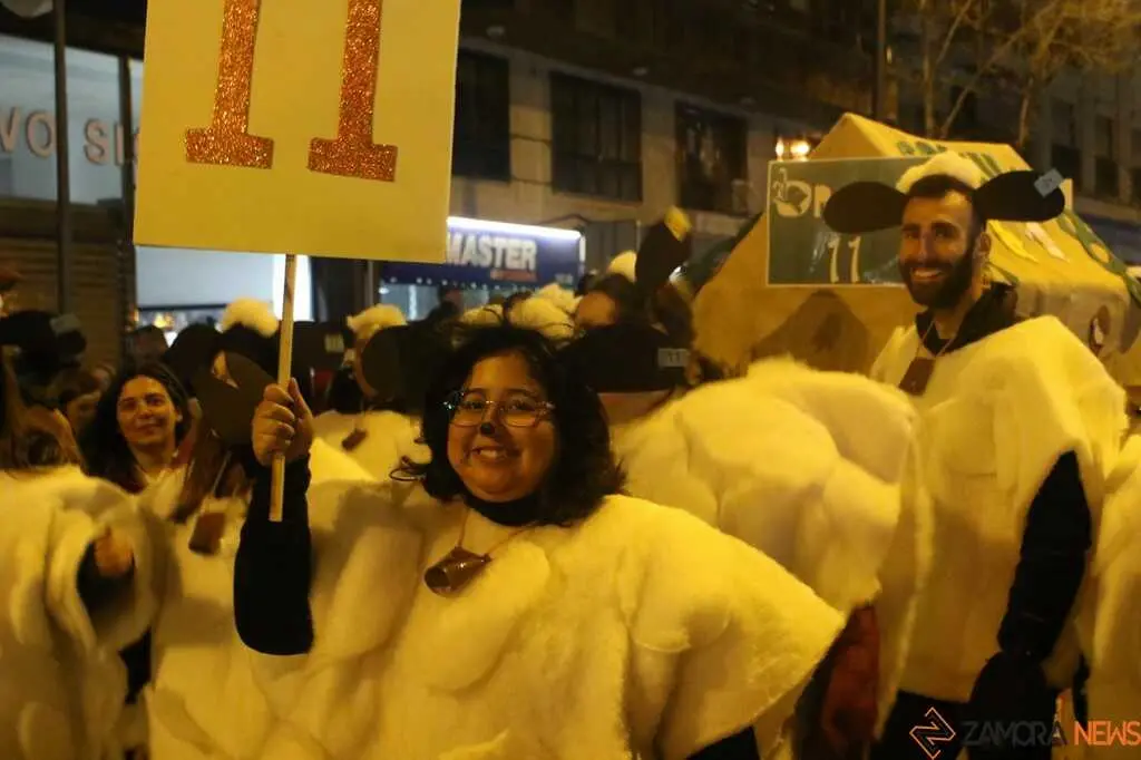 Desfile de Carnaval Zamora _27
