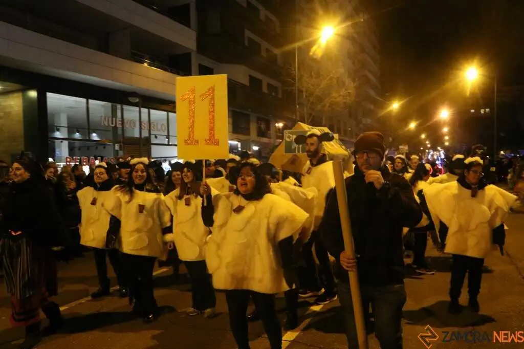 Desfile de Carnaval Zamora _30