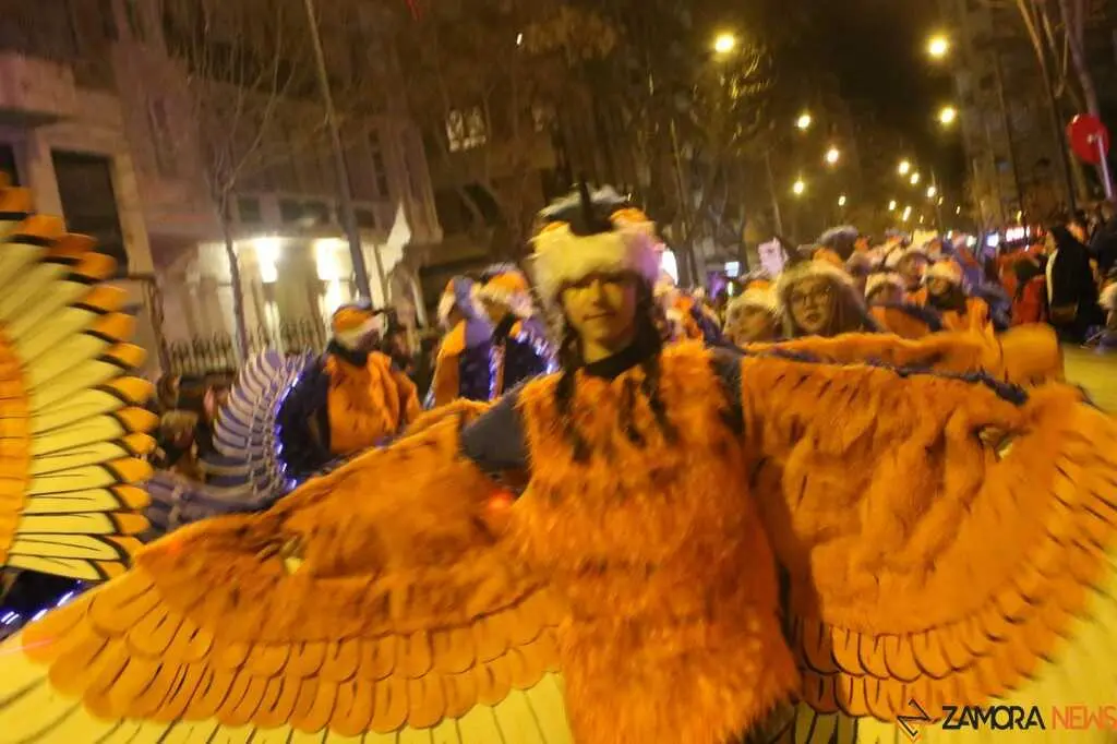 Desfile de Carnaval Zamora _39