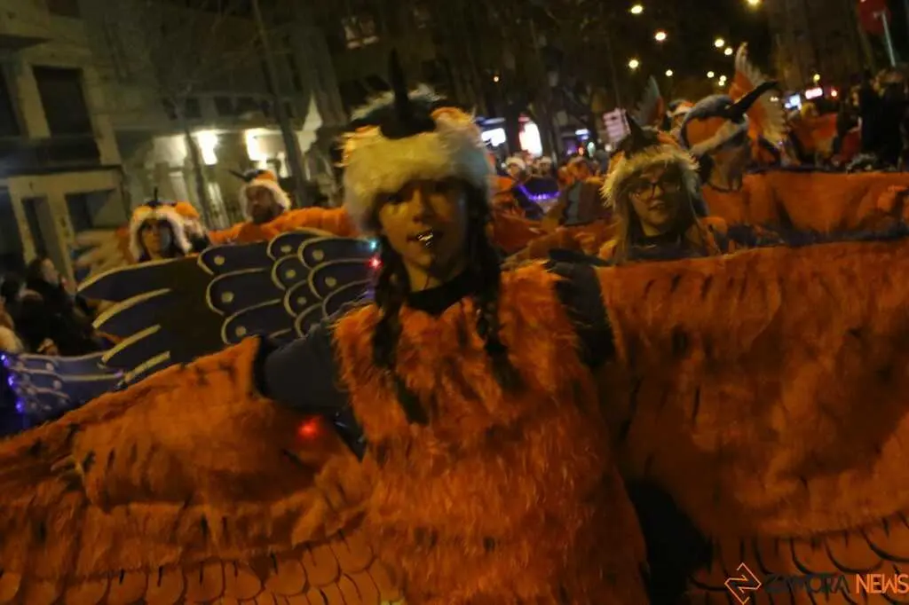 Desfile de Carnaval Zamora _41