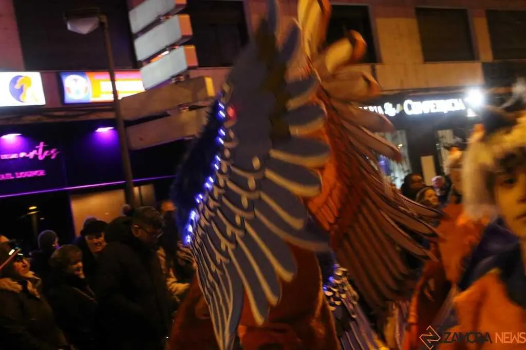 Desfile de Carnaval Zamora _42