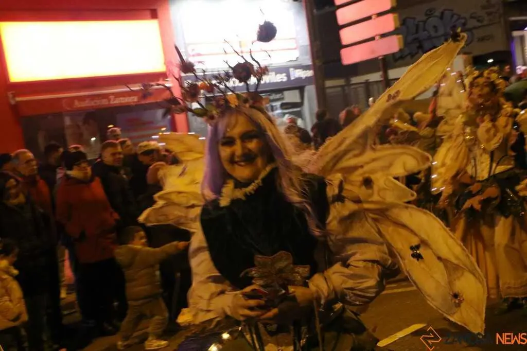 Desfile de Carnaval Zamora _48