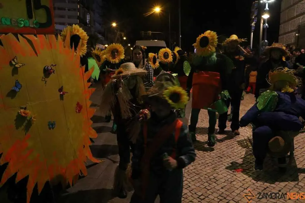 Desfile de Carnaval Zamora _53