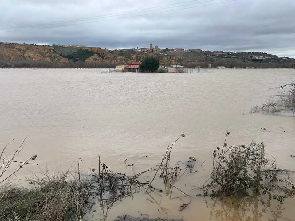 Duero desbordado en Toro _5