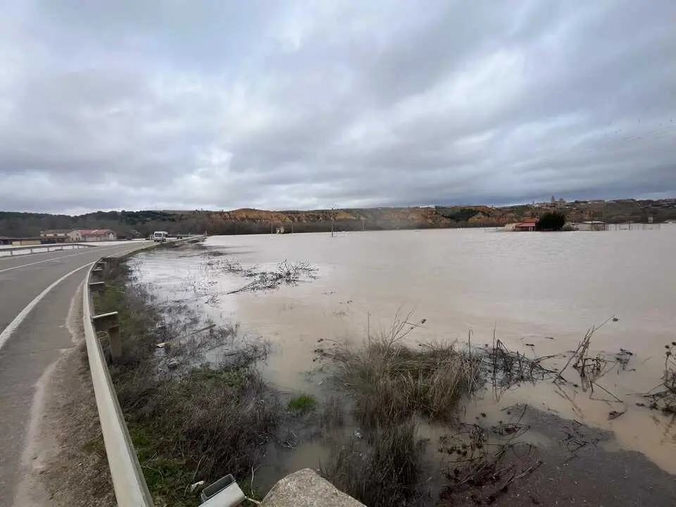 Duero desbordado en Toro _6