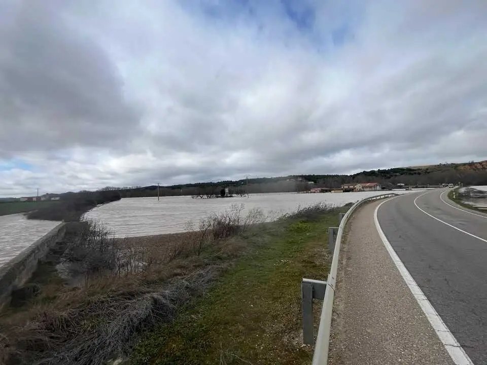 Duero desbordado en Toro _8