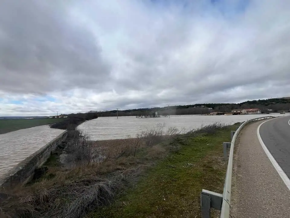 Duero desbordado en Toro _10