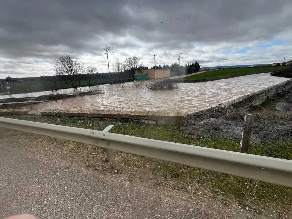 Duero desbordado en Toro _11