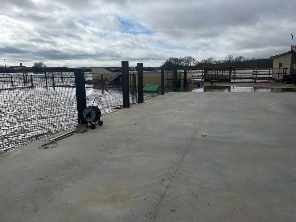 Duero desbordado en Toro _12