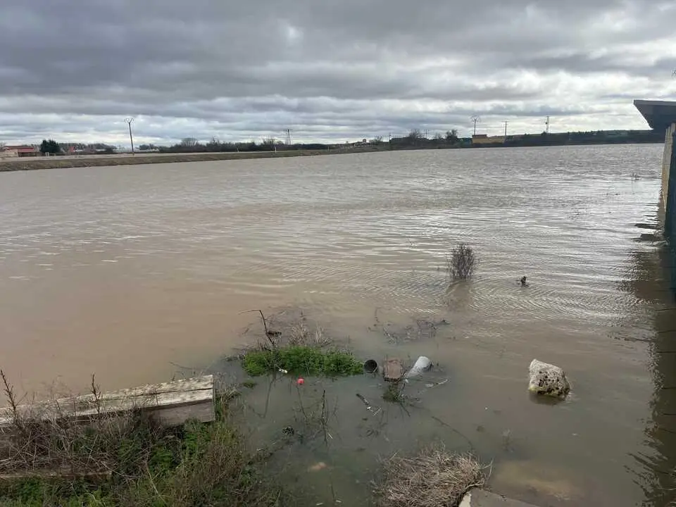 Duero desbordado en Toro _14