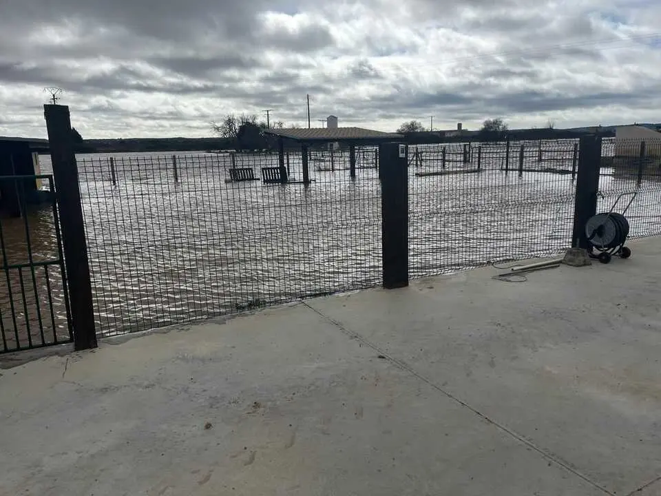 Duero desbordado en Toro _15