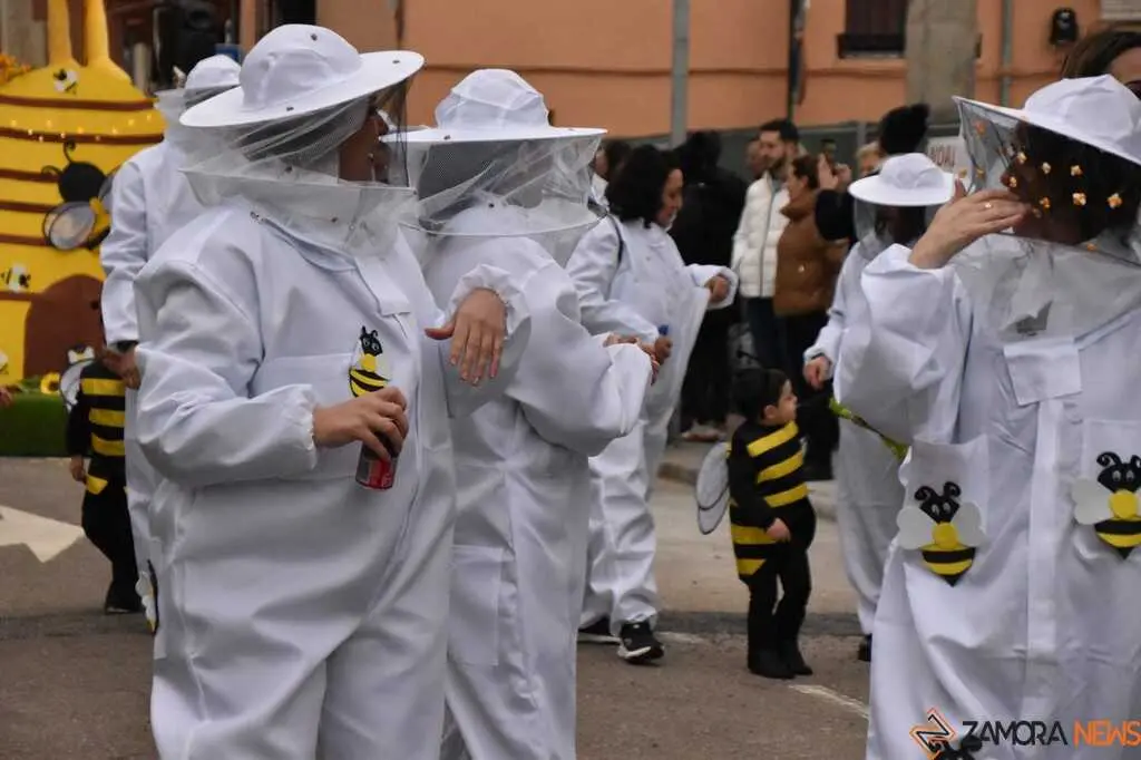 Desfile Infantil carnaval Toro_47