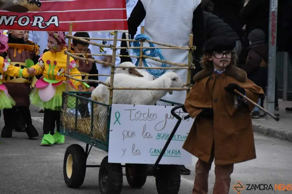 Desfile Infantil carnaval Toro_56
