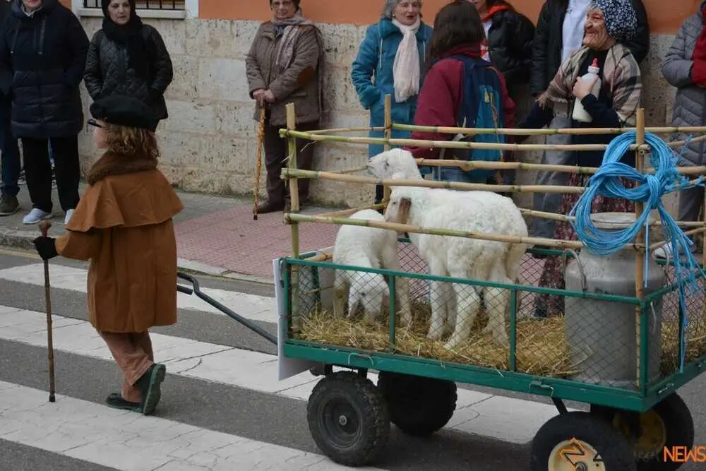 toro carnaval ni&ntilde;os desfile_106