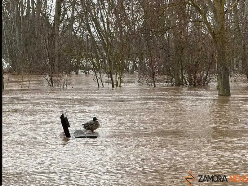 el r&iacute;o Duero a su paso por Zamora en un d&iacute;a nublado _3