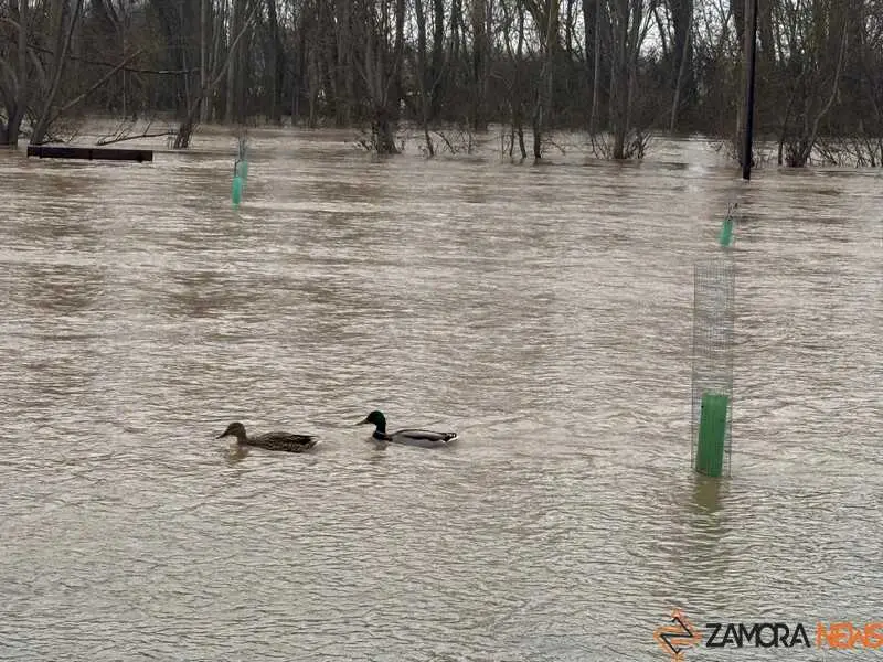 el r&iacute;o Duero a su paso por Zamora en un d&iacute;a nublado _5