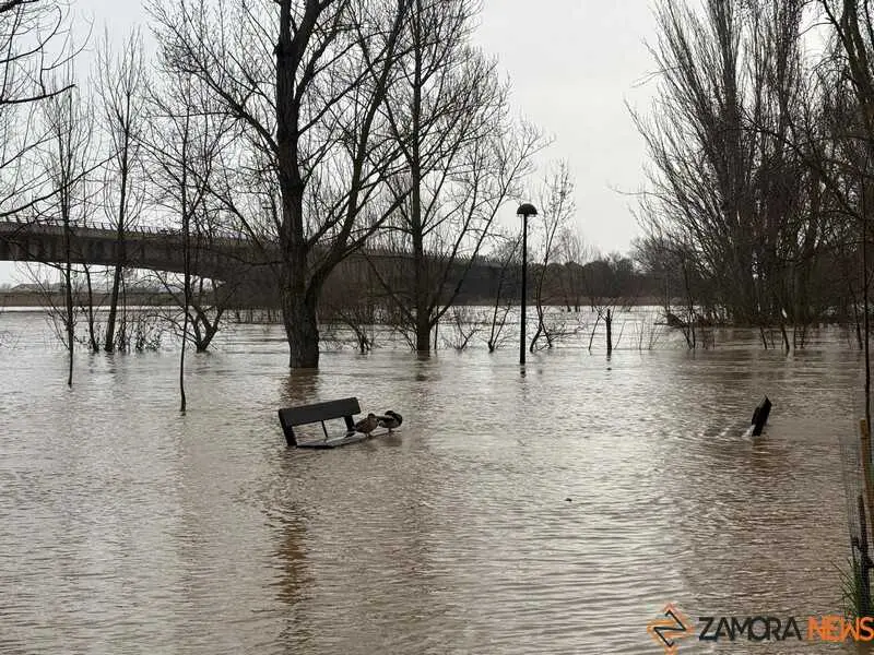 el r&iacute;o Duero a su paso por Zamora en un d&iacute;a nublado _4