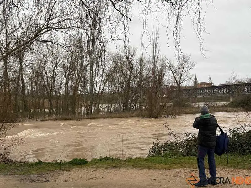 el r&iacute;o Duero a su paso por Zamora en un d&iacute;a nublado _8
