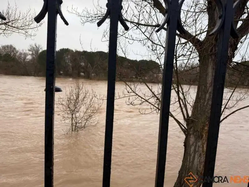 el r&iacute;o Duero a su paso por Zamora en un d&iacute;a nublado _12